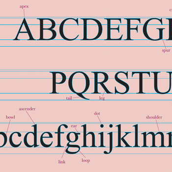 Typrography Project